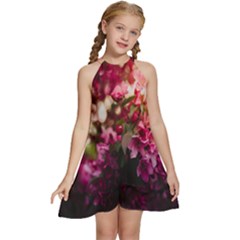 Pink Flower Kids  Halter Collar Waist Tie Chiffon Dress