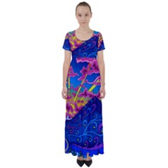 Abstract Paisley Art Pattern Design Fabric Floral Decoration High Waist Short Sleeve Maxi Dress by danenraven