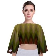 Zig Zag Chevron Classic Pattern Tie Back Butterfly Sleeve Chiffon Top