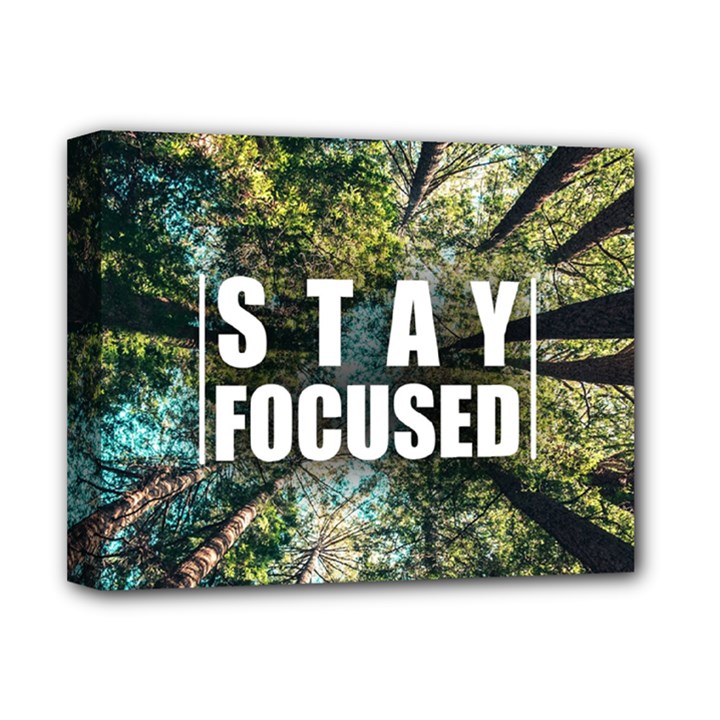 Stay Focused Focus Success Inspiration Motivational Deluxe Canvas 14  x 11  (Stretched)