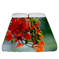 Gathering Sping Flowers Wallpapers Fitted Sheet (california King Size) by artworkshop