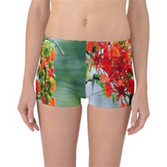 Gathering Sping Flowers Wallpapers Reversible Boyleg Bikini Bottoms by artworkshop