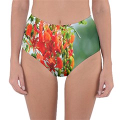 Gathering Sping Flowers Wallpapers Reversible High-waist Bikini Bottoms by artworkshop