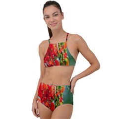 Gathering Sping Flowers Wallpapers Halter Tankini Set by artworkshop