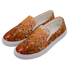 Late Afternoon Men s Canvas Slip Ons by artworkshop