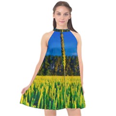 Different Grain Growth Field Halter Neckline Chiffon Dress 
