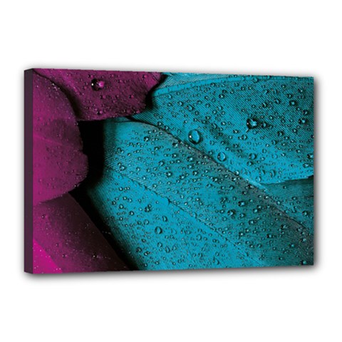 Plumage Canvas 18  X 12  (stretched) by nateshop