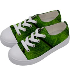 Green-leaf-plant-freshness-color Kids  Low Top Canvas Sneakers by Bedest