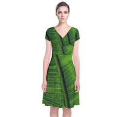 Green-leaf-plant-freshness-color Short Sleeve Front Wrap Dress