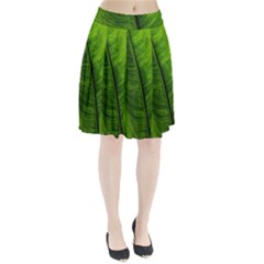 Green-leaf-plant-freshness-color Pleated Skirt