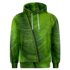 Green-leaf-plant-freshness-color Men s Overhead Hoodie