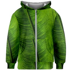 Green-leaf-plant-freshness-color Kids  Zipper Hoodie Without Drawstring