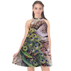 Japanese Painting Flower Peacock Halter Neckline Chiffon Dress 