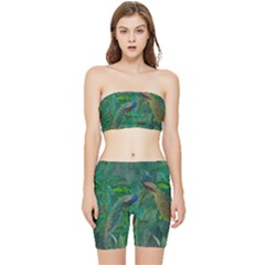 Peacock Paradise Jungle Stretch Shorts And Tube Top Set by Bedest