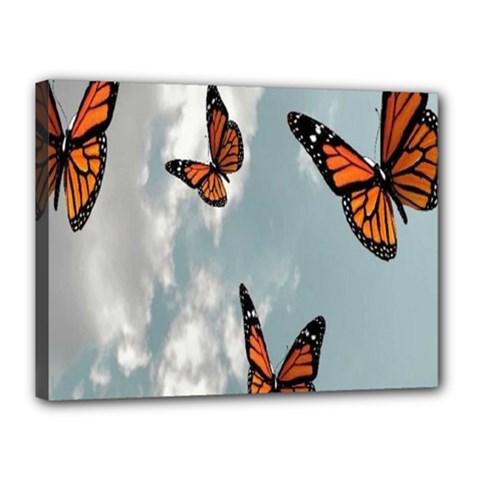 Aesthetic Butterfly , Butterflies, Nature, Canvas 16  X 12  (stretched) by nateshop