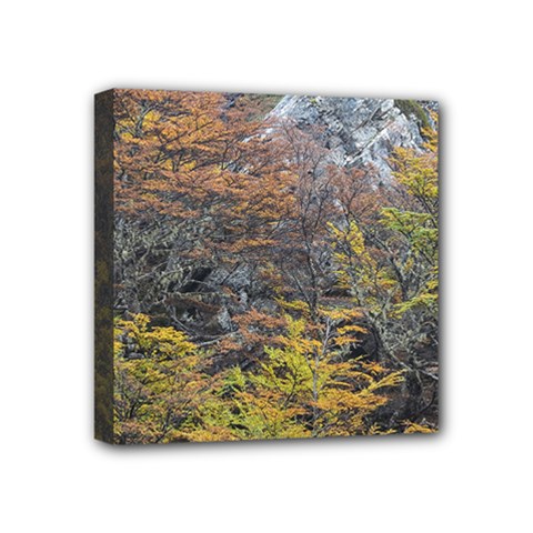Wilderness Palette, Tierra Del Fuego Forest Landscape, Argentina Mini Canvas 4  X 4  (stretched) by dflcprintsclothing