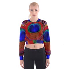 Peacock-feathers,blue 1 Cropped Sweatshirt