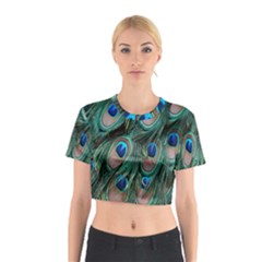 Peacock-feathers,blue2 Cotton Crop Top by nateshop
