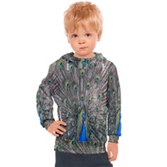 Peacock-feathers1 Kids  Hooded Pullover by nateshop
