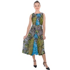 Peacock-feathers2 Midi Tie-back Chiffon Dress by nateshop