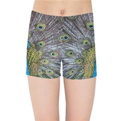 Peacock-feathers2 Kids  Sports Shorts by nateshop