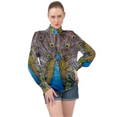 Peacock-feathers2 High Neck Long Sleeve Chiffon Top by nateshop