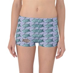 Fishes Pattern Background Theme Reversible Boyleg Bikini Bottoms by Pakjumat