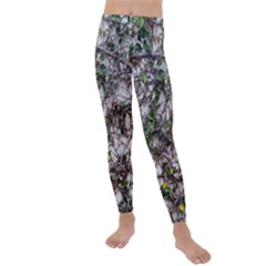 Climbing Plant At Outdoor Wall Kids  Lightweight Velour Leggings by dflcprintsclothing