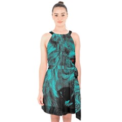 Angry Male Lion Predator Carnivore Halter Collar Waist Tie Chiffon Dress by uniart180623