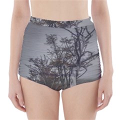 Nature s Resilience: Tierra Del Fuego Forest, Argentina High-waisted Bikini Bottoms by dflcprintsclothing