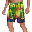 Abstract-vibrant-colour-botany Men s Beach Shorts View2