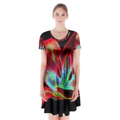 Flower Pattern-design-abstract-background Short Sleeve V-neck Flare Dress by Amaryn4rt