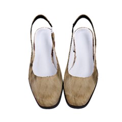 Cute Persian Catface In Closeup Women s Classic Slingback Heels by Amaryn4rt