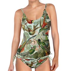 Humming Birds Trochilidae Tankini Set by Pakjumat