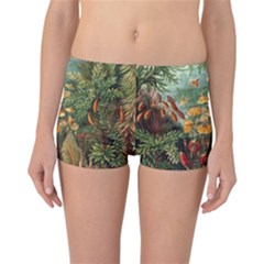 Moose Eurhynchium Haeckel Muscinae Reversible Boyleg Bikini Bottoms by Pakjumat