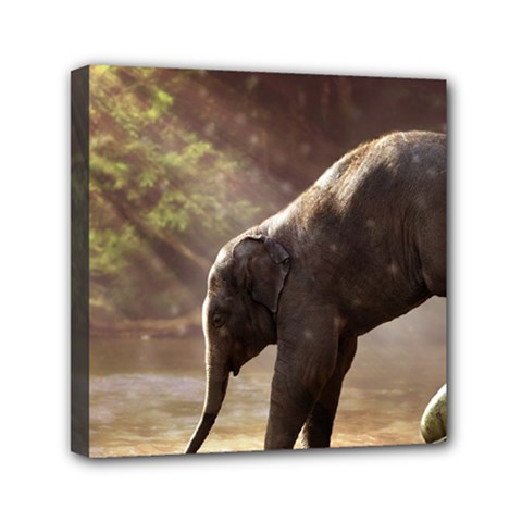 Baby Elephant Watering Hole Mini Canvas 6  X 6  (stretched) by Sarkoni