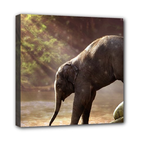 Baby Elephant Watering Hole Mini Canvas 8  X 8  (stretched) by Sarkoni