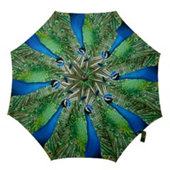 Peafowl Peacock Hook Handle Umbrellas (medium) by Sarkoni