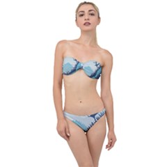 Swan Flying Bird Wings Waves Grass Classic Bandeau Bikini Set