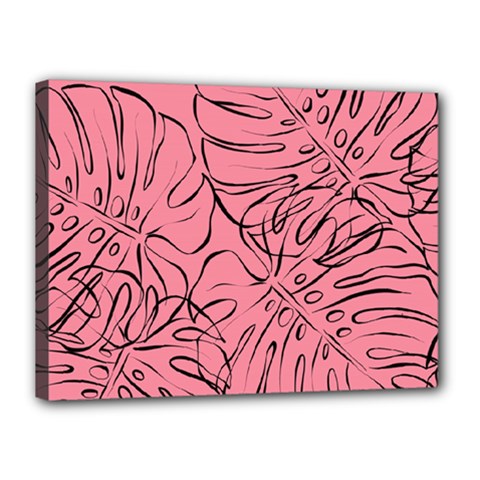 Pink Monstera Canvas 16  X 12  (stretched) by ConteMonfrey