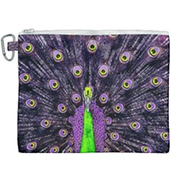 Peacock Bird Color Canvas Cosmetic Bag (xxxl)