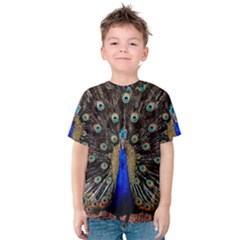 Peacock Kids  Cotton T-shirt