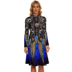 Peacock Long Sleeve Shirt Collar A-line Dress by Ket1n9