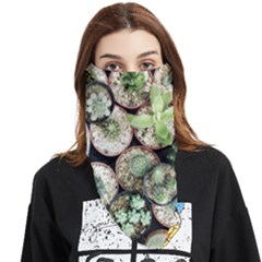 Cactus Nature Plant Desert Face Covering Bandana (triangle) by Bedest
