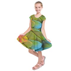Parrot Feathers Texture Feathers Backgrounds Kids  Short Sleeve Dress by nateshop
