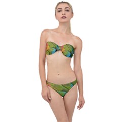 Parrot Feathers Texture Feathers Backgrounds Classic Bandeau Bikini Set by nateshop