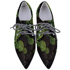 Berry,note, Green, Raspberries Pointed Oxford Shoes by nateshop