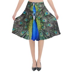 Peacock Bird Feathers Pheasant Nature Animal Texture Pattern Flared Midi Skirt by Bedest