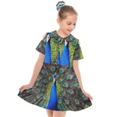 Peacock Bird Feathers Pheasant Nature Animal Texture Pattern Kids  Short Sleeve Shirt Dress