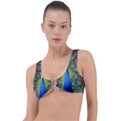 Peacock Bird Feathers Pheasant Nature Animal Texture Pattern Ring Detail Bikini Top by Bedest